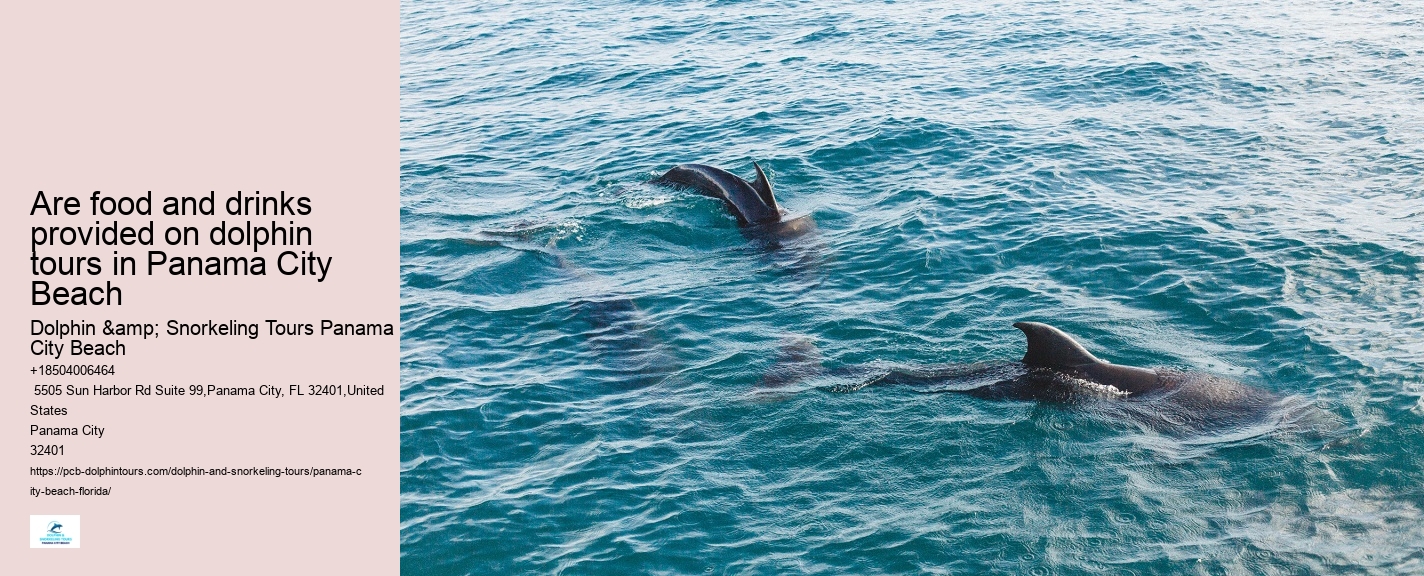 Bottle Nose Dolphin