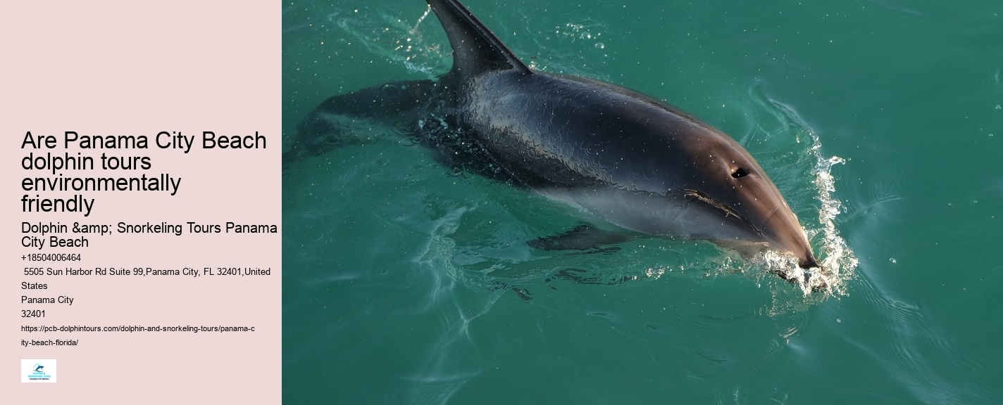 Panama City Beach dolphin viewing tours
