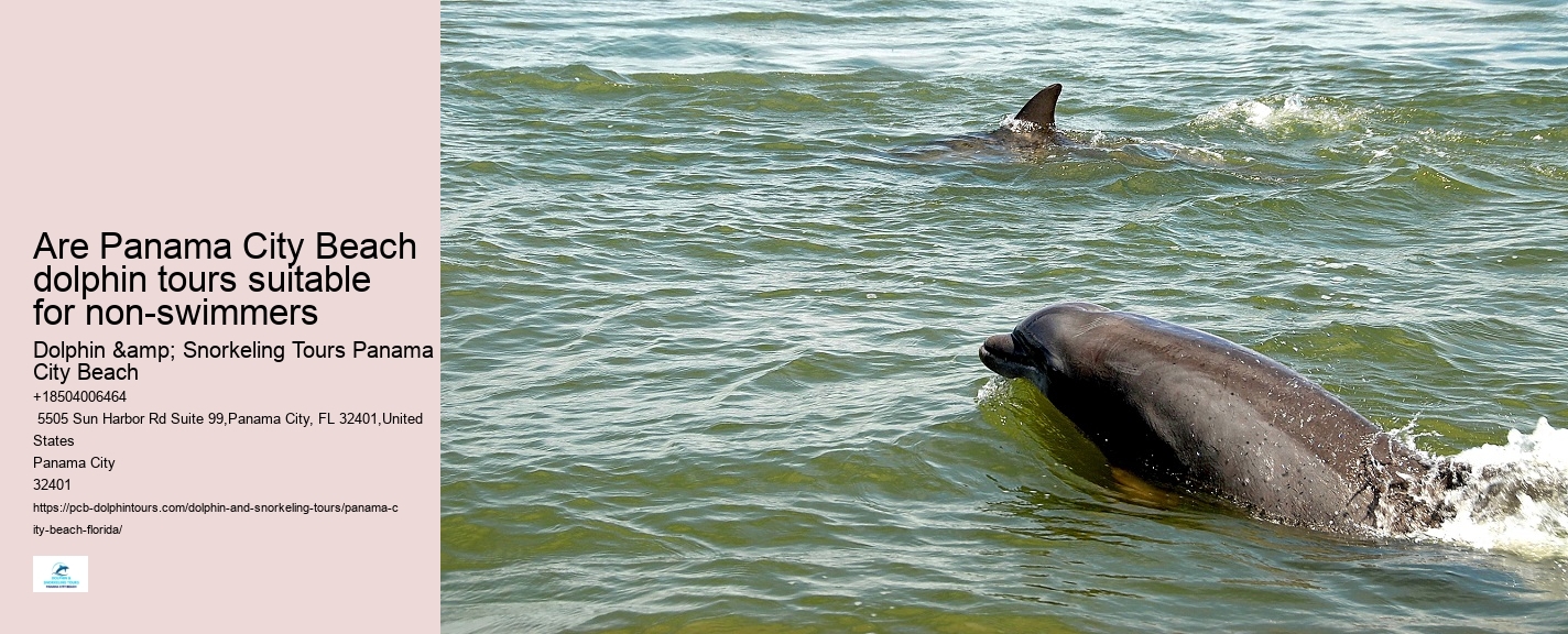 Panama City Beach Sunset Dolphin Cruise