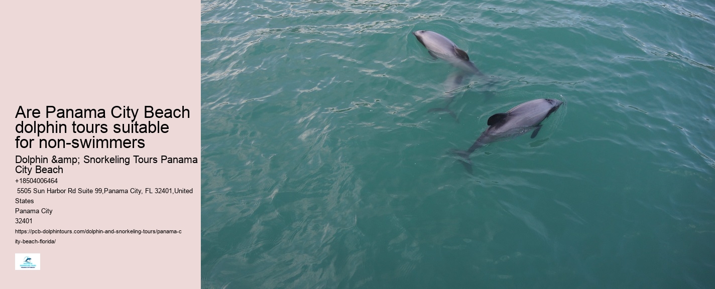 Dolphin Tour