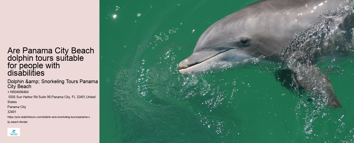 Panama City Beach dolphin exploration voyages
