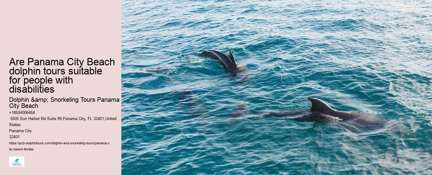 Panama City Beach Dolphin Boat Cruises