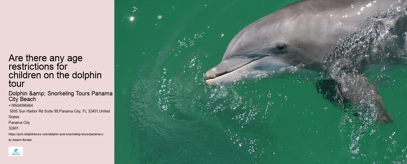 PCB Dolphin Sightseeing Trips