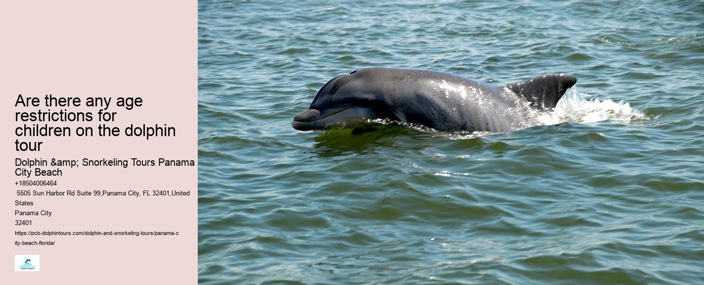Are dolphin tours in Panama City Beach narrated by guides