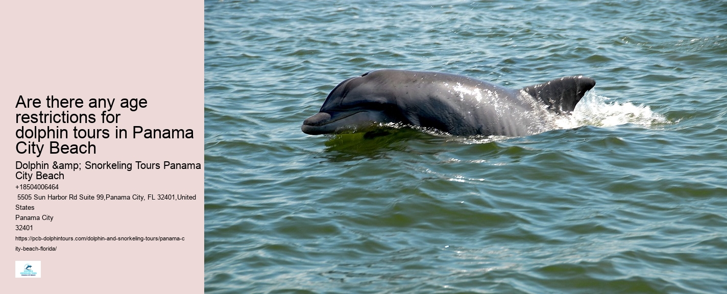 Panama City Beach Dolphin Experience Tours