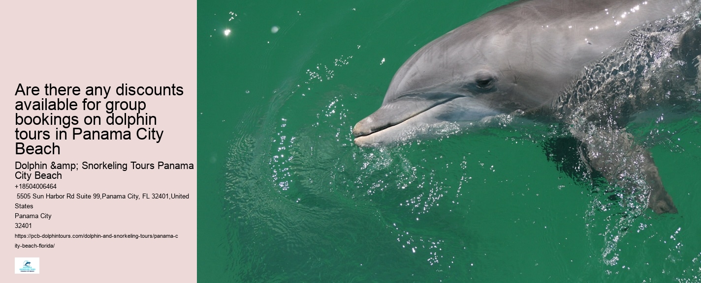 Dolphin Boat Adventures in PCB
