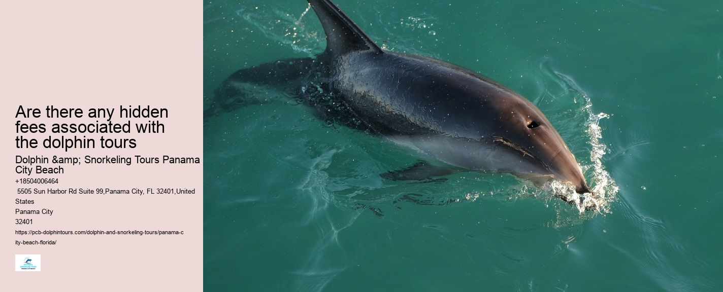 City Beach Dolphin Tours