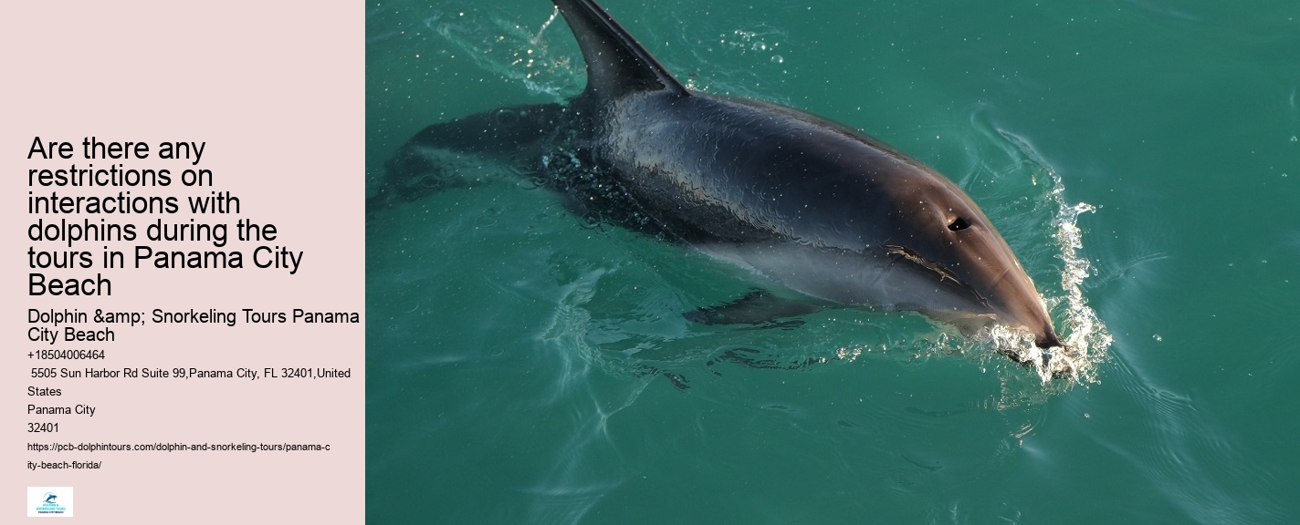 Panama City Beach dolphin cruise