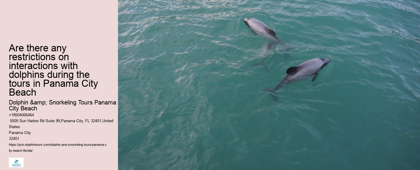 Dolphin Adventure Tours PCB