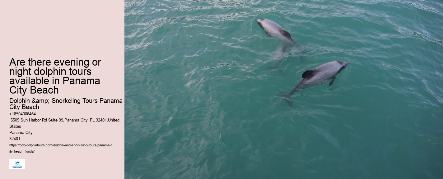 Dolphin watching excursions at Panama City Beach