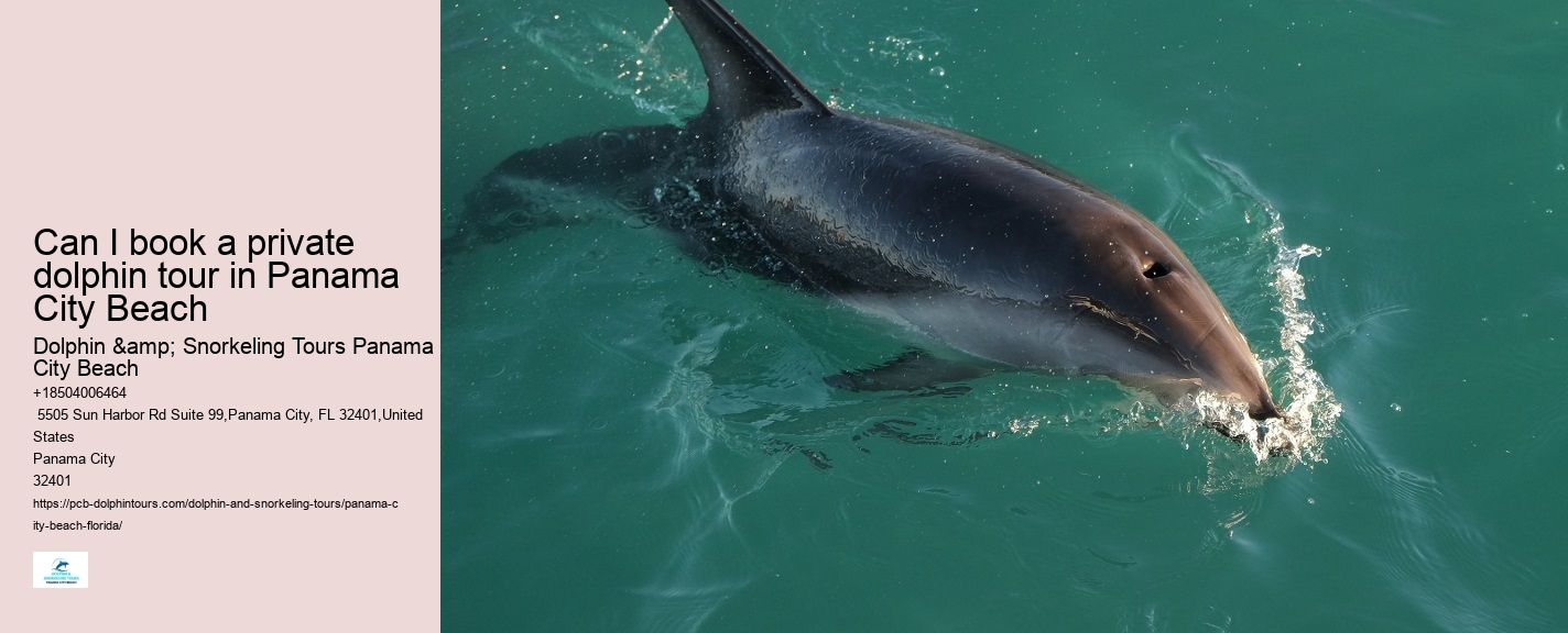 Panama City Beach Florida Boat Tours