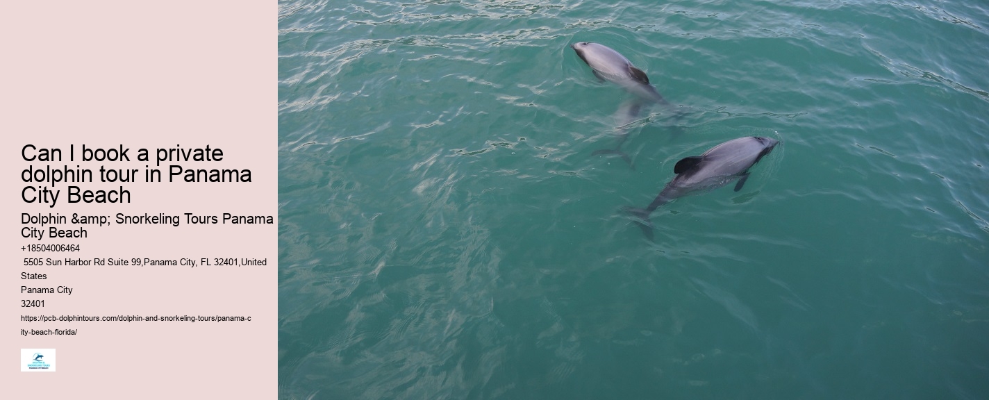 Where Can I See Dolphins In Panama