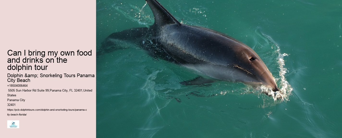Dolphin Tours Panama City Beach Jet Ski