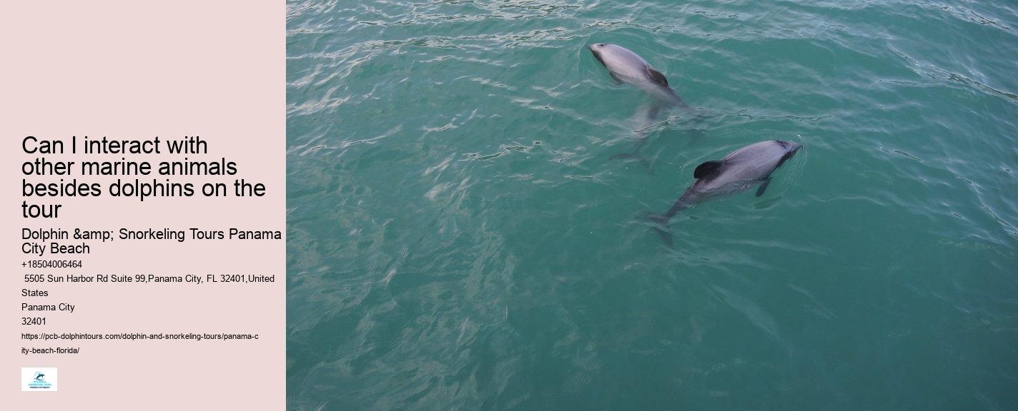 PCB Dolphin Exploration Experiences