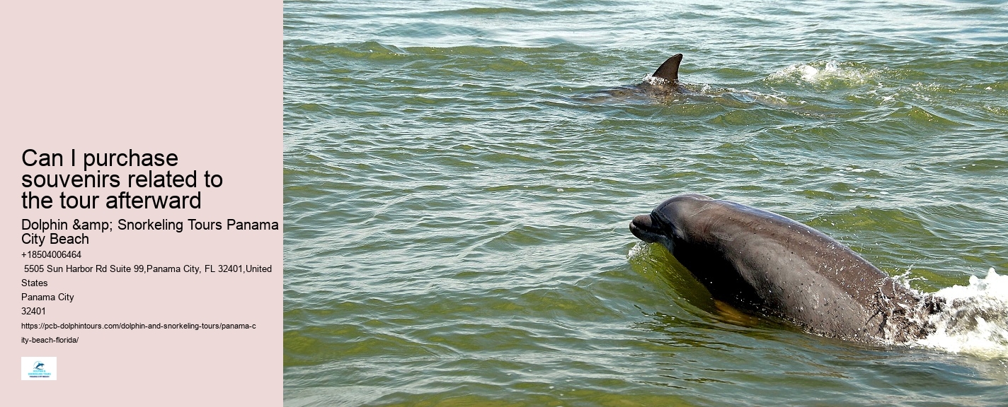 Panama City Beach Dolphin Sunset Cruise