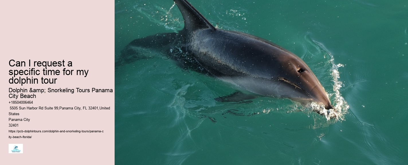Panama City Beach Jet Ski Dolphin Tours