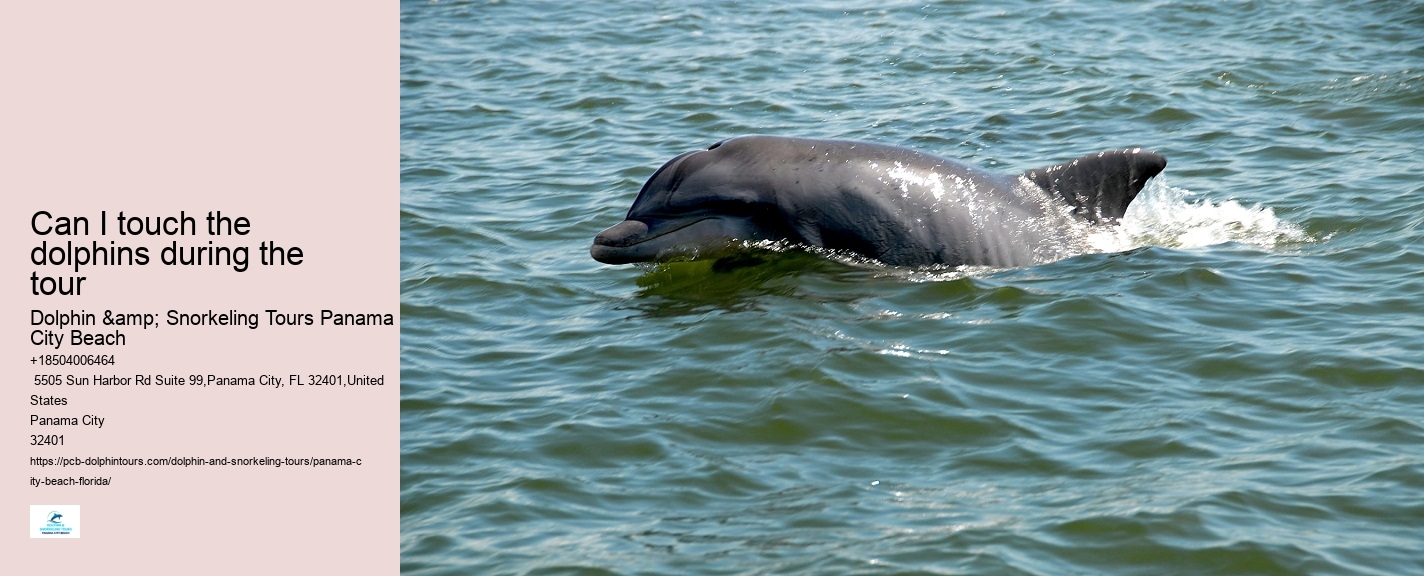 Panama City Beach dolphin discovery excursions