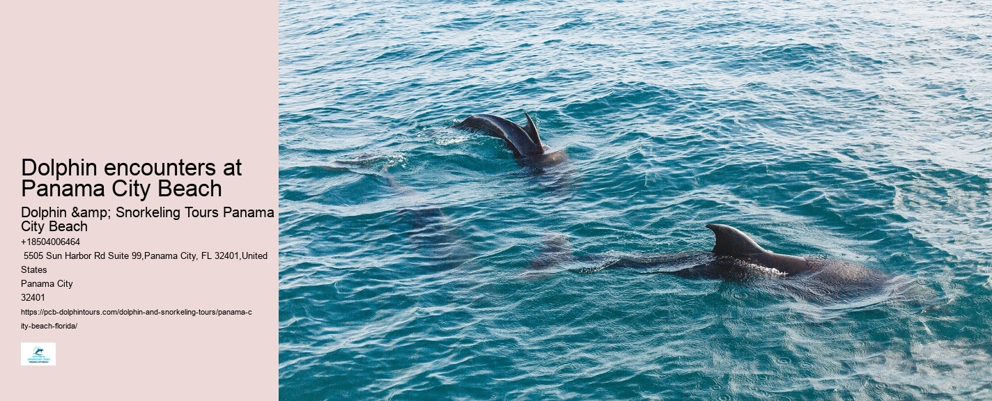 Panama City Fl Boat Tours