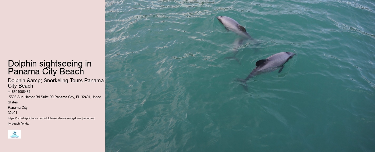 Are there evening sunset dolphin tours available in Panama City Beach