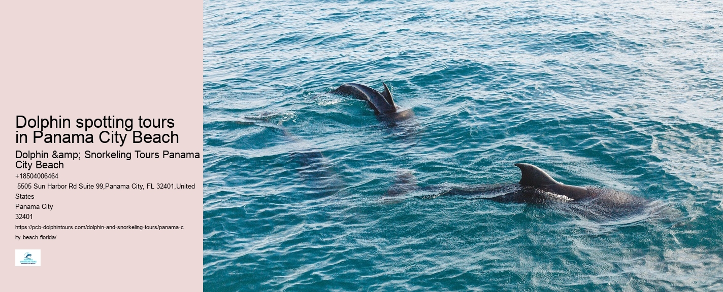 Dolphin Spotting Excursions in PCB
