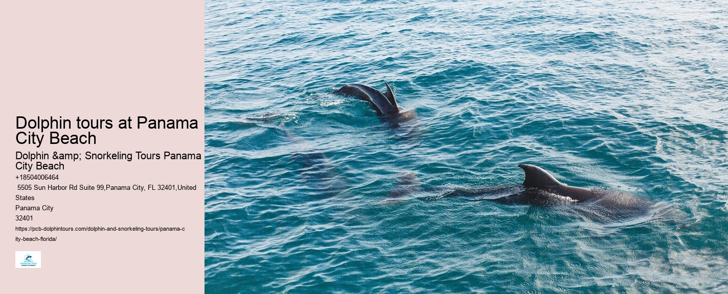 How Much Does It Cost To Swim With The Dolphins In Panama City Beach