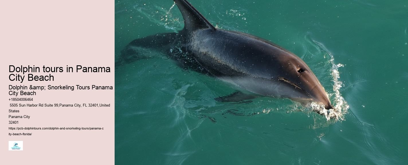 What is the cancellation policy for dolphin tours in Panama City Beach