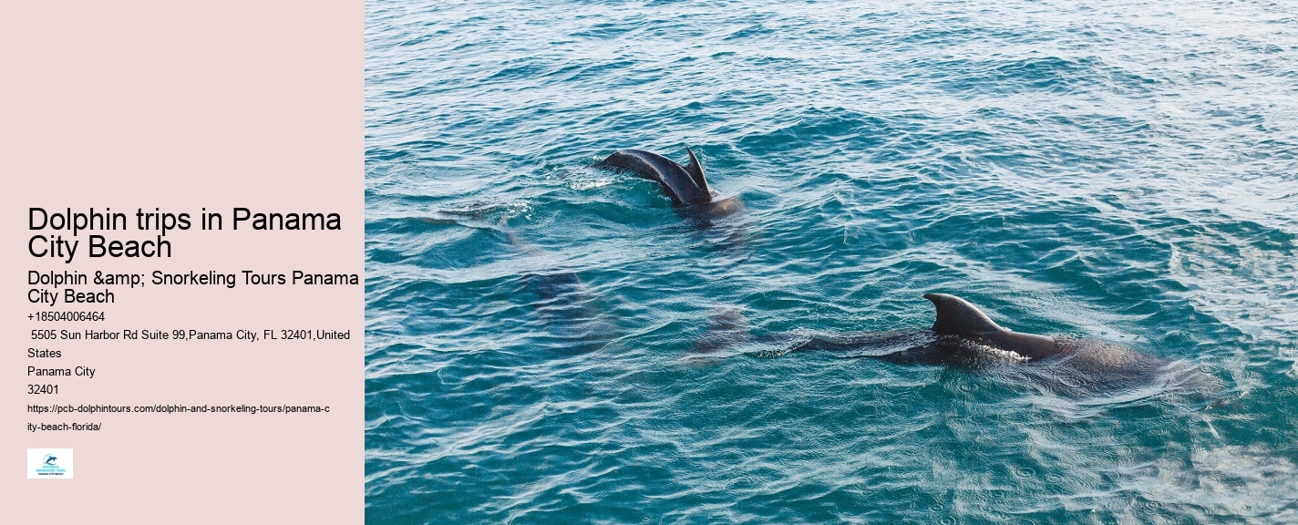 Can I request a specific time for my dolphin tour
