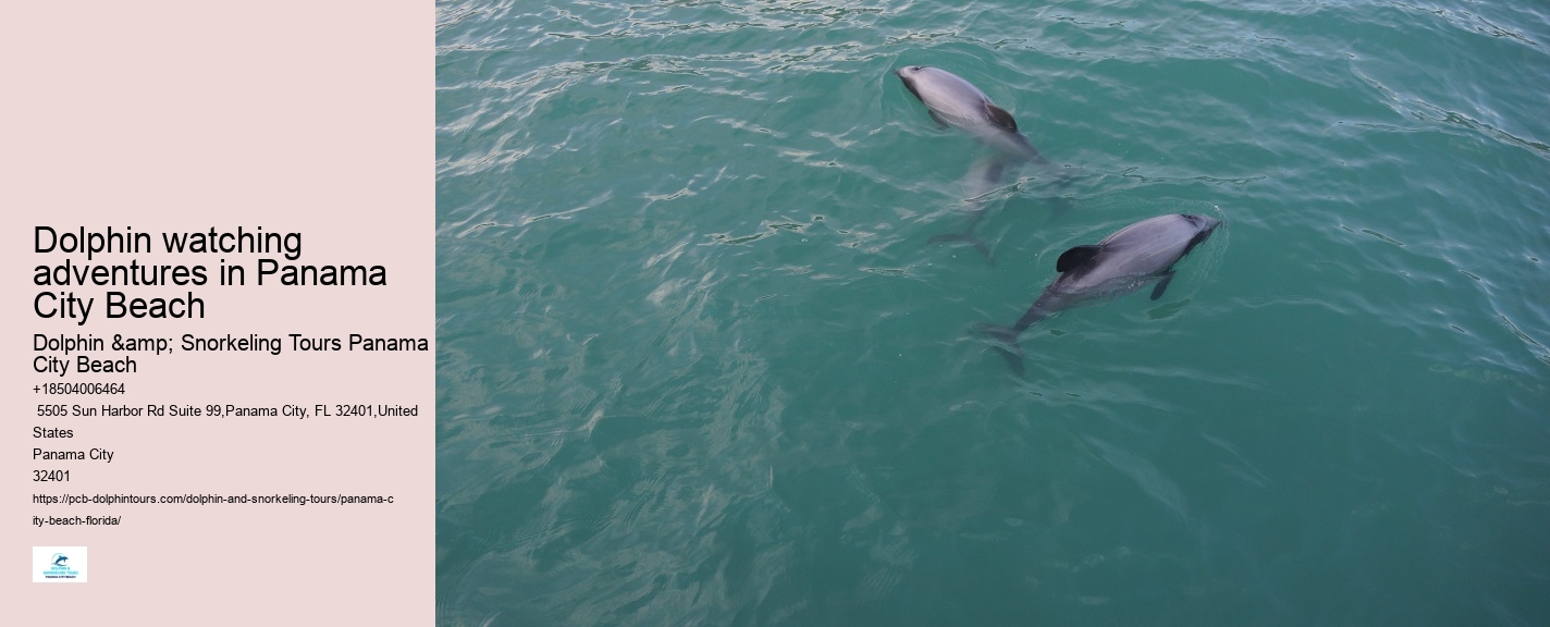 Snorkeling spots