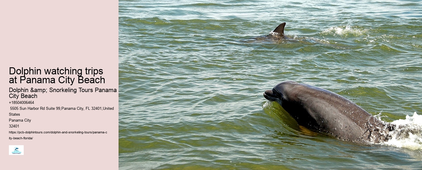Panama City Beach Dolphin Sunset Cruise