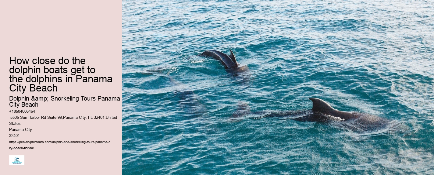 Blue Dolphin