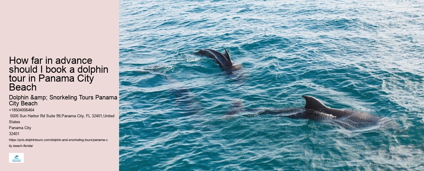 PCB Dolphin Encounters