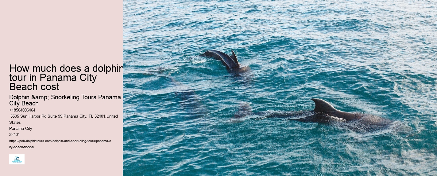 Best Sunset Dolphin Cruise Panama City Beach