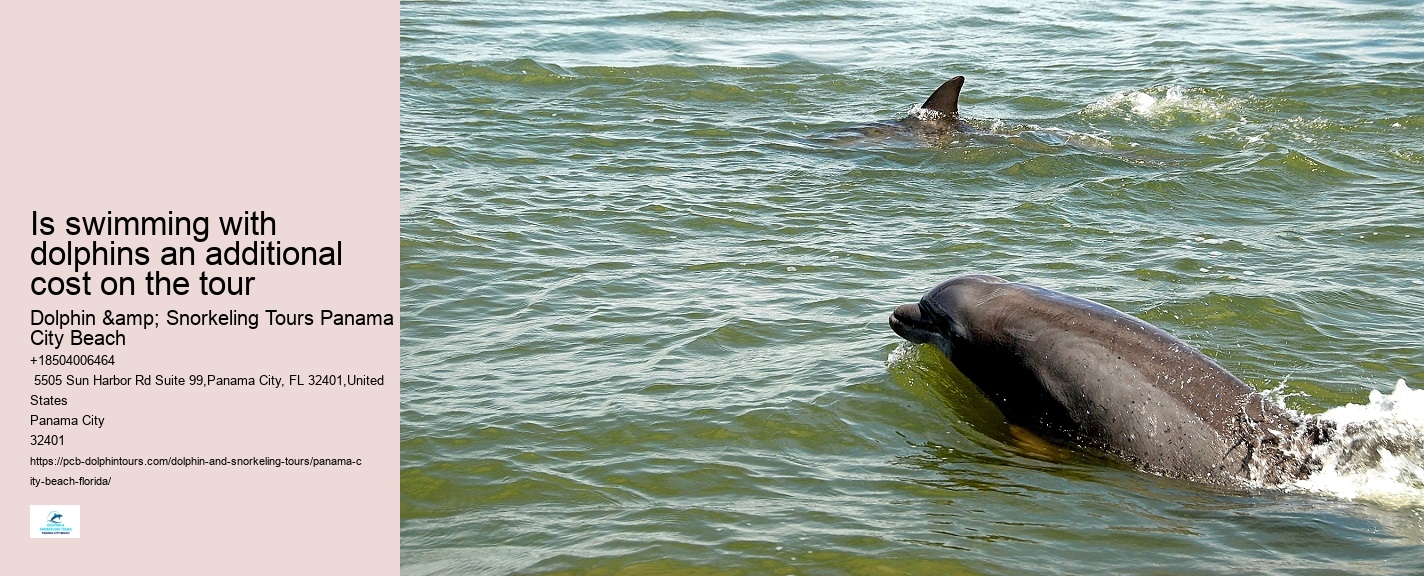 Catamaran Dolphin Tour Panama City Beach