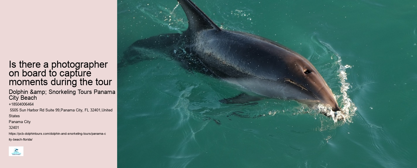 Can I interact with other marine animals besides dolphins on the tour