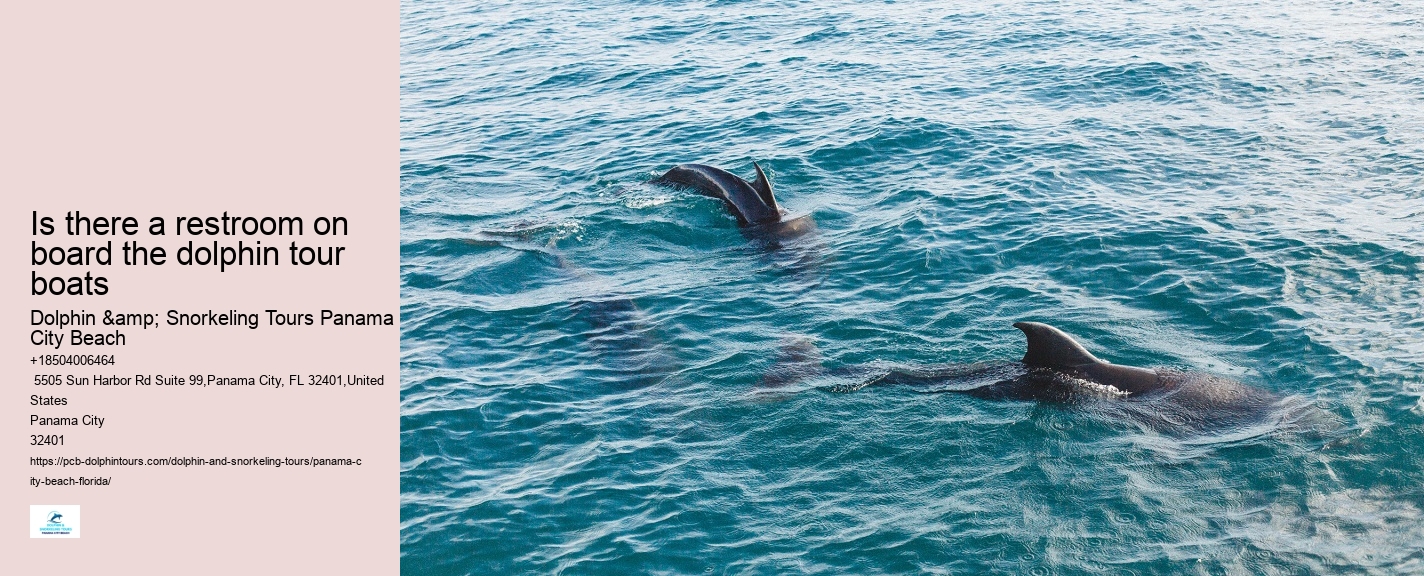 PCB Dolphin Exploration Trips