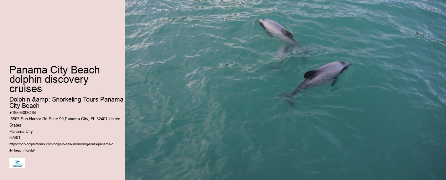 Dolphin Discovery Tours PCB