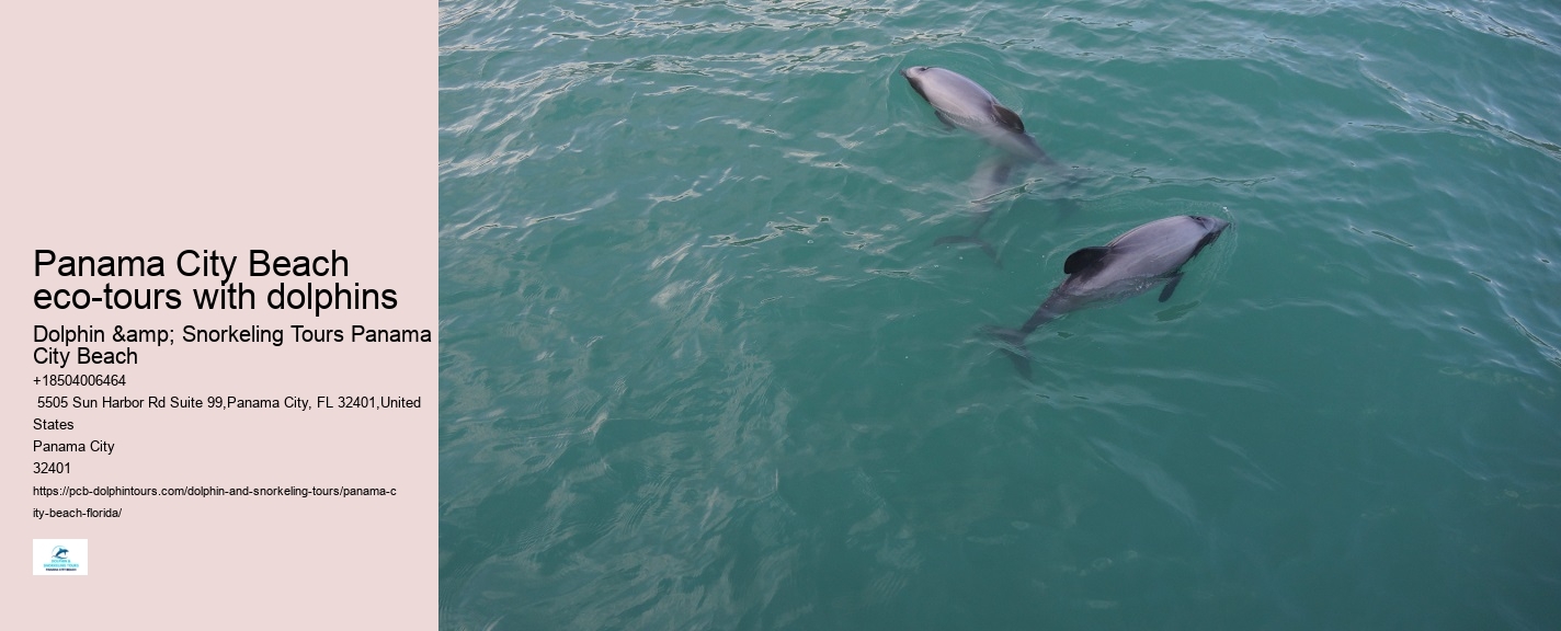 Bottle Nose Dolphin
