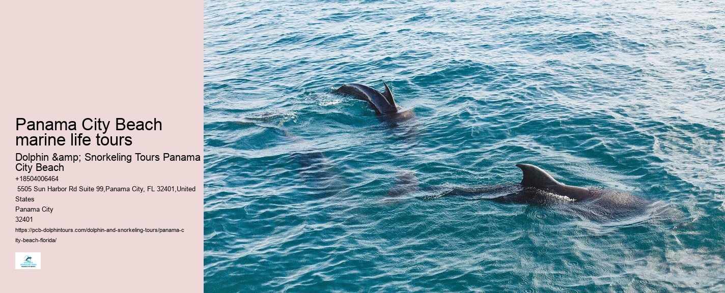 Are Panama City Beach dolphin tours available year-round