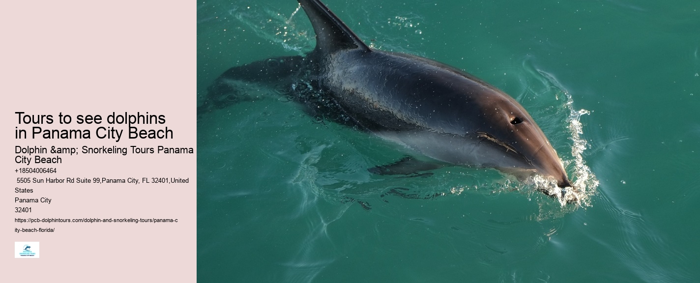 Dolphin tours at Panama City Beach