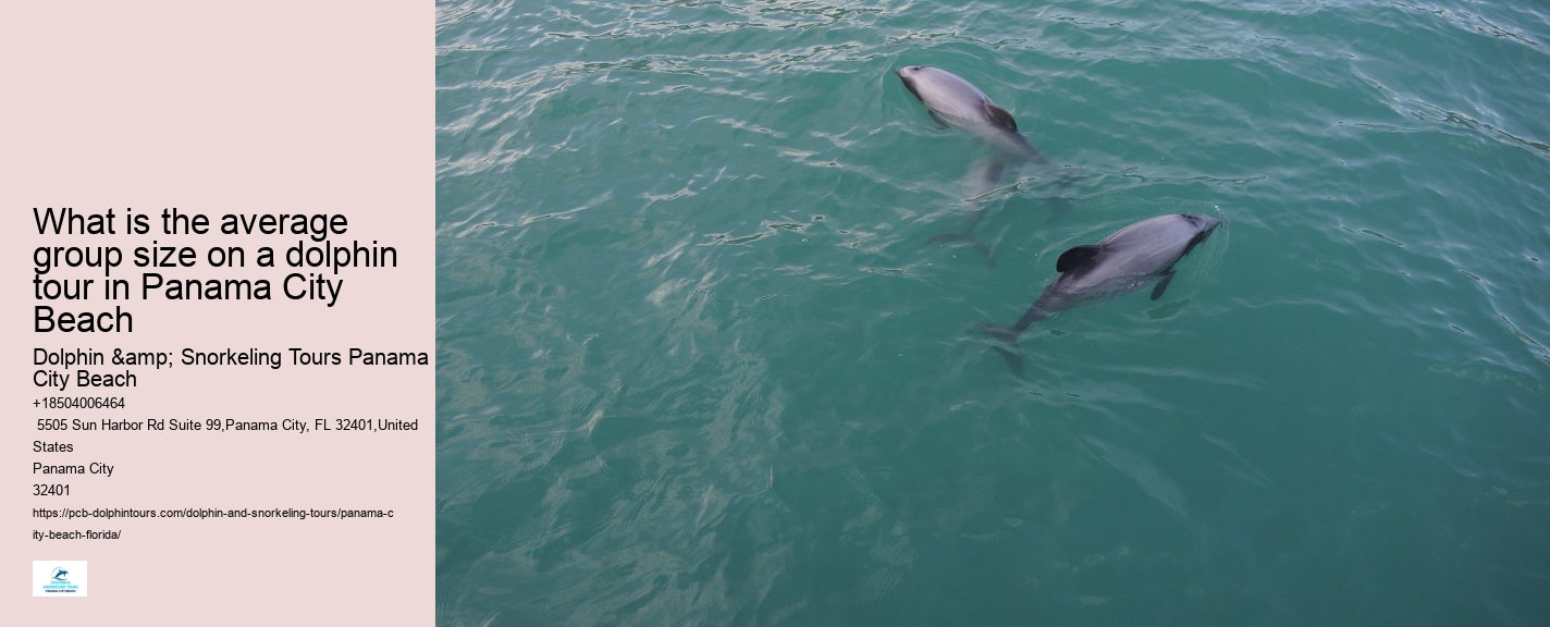 Are there any discounts available for group bookings on dolphin tours in Panama City Beach