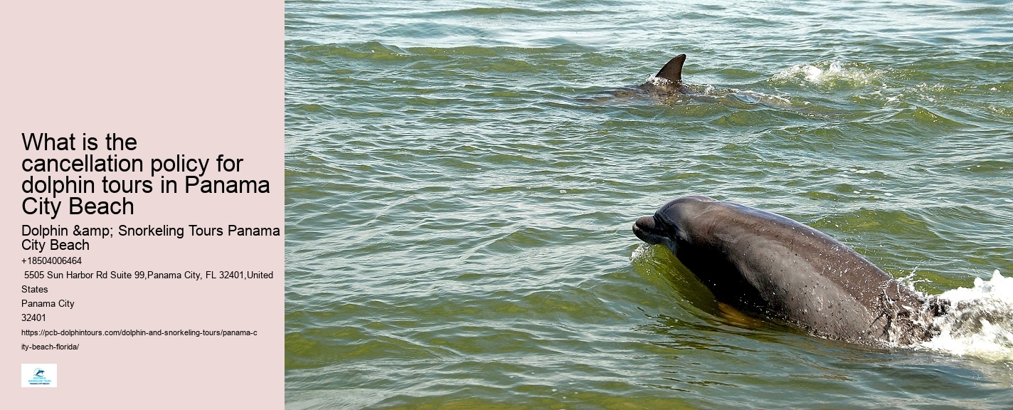 Are dolphin tours in Panama City Beach suitable for children