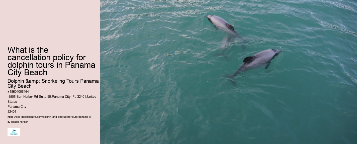 Panama City Beach Dolphin Sightseeing