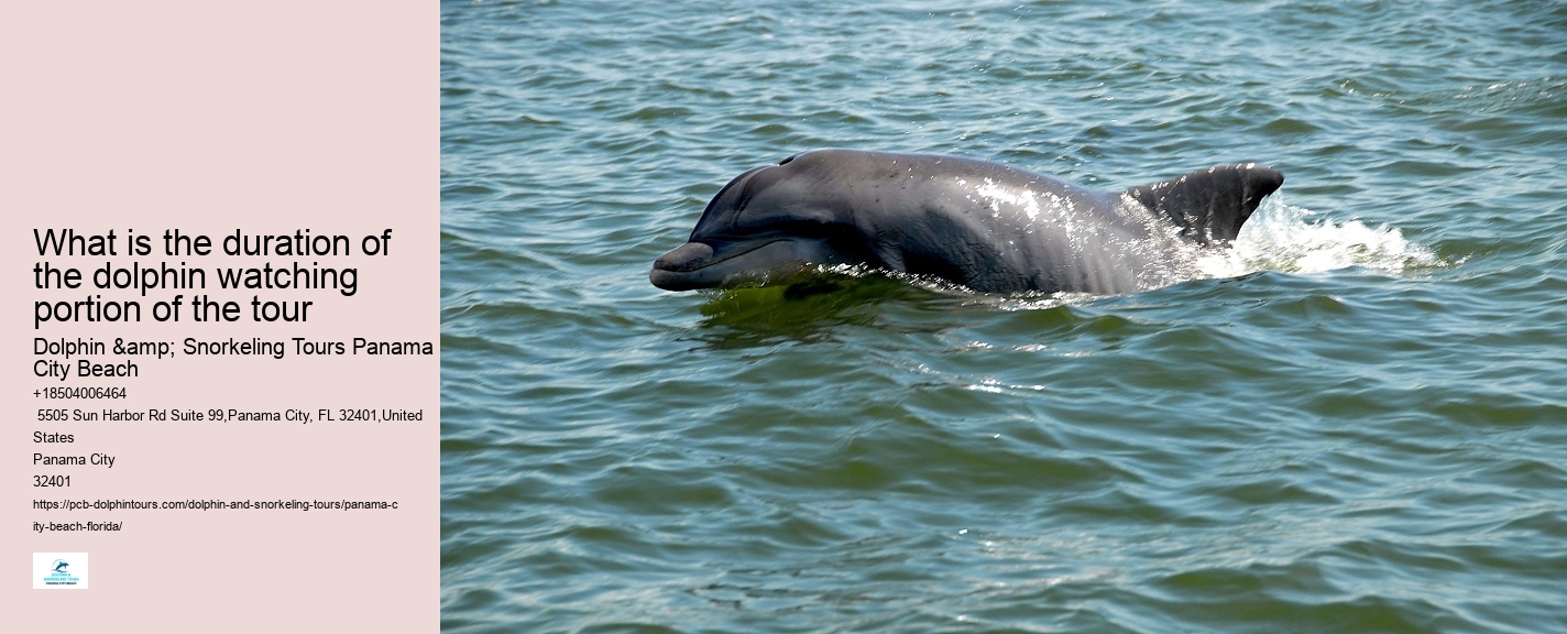 Dolphin And Snorkeling Tours Panama City Beach Fl