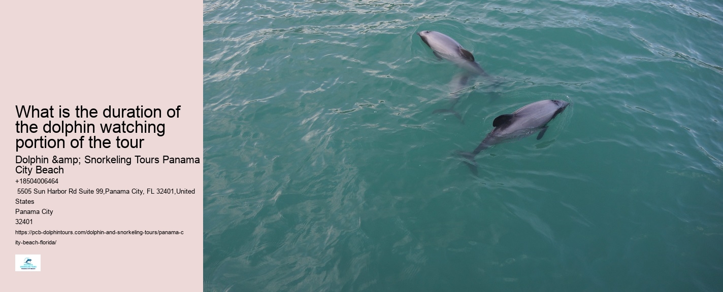 What type of boats are used for dolphin tours in Panama City Beach