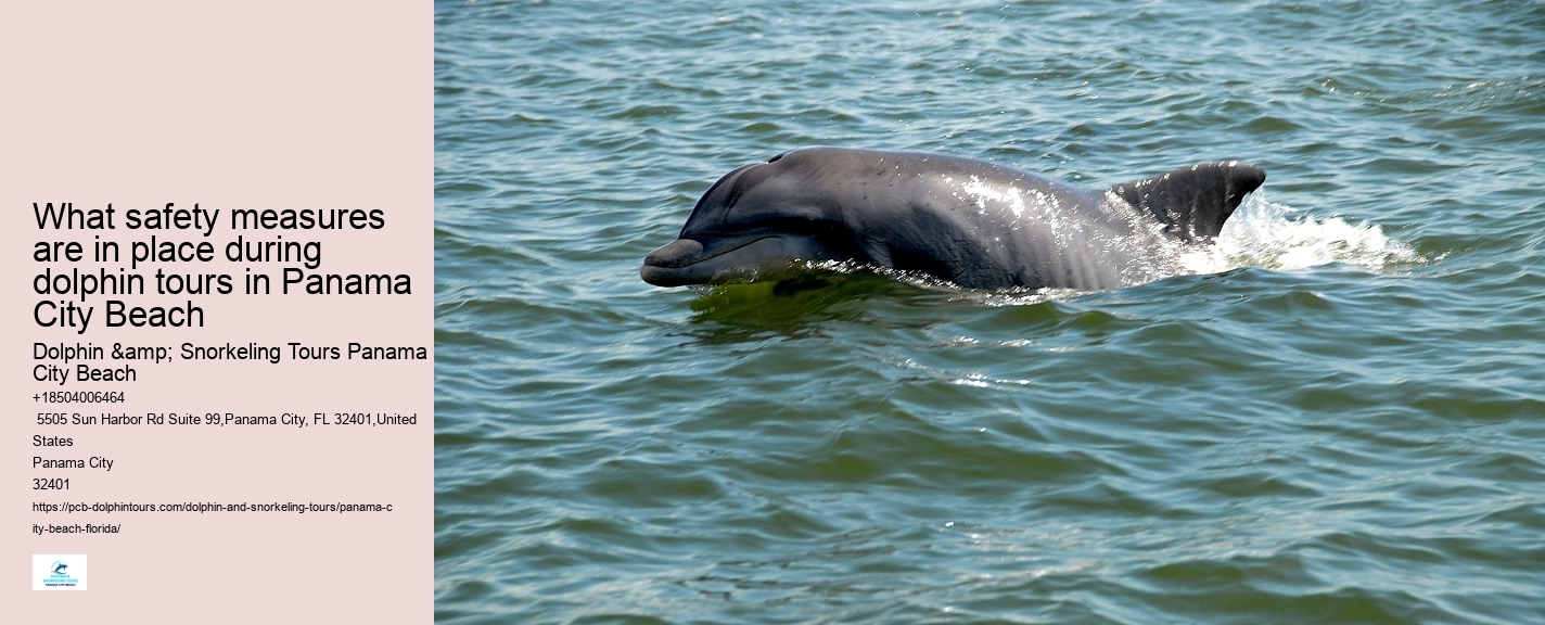 Panama City Beach dolphin excursions