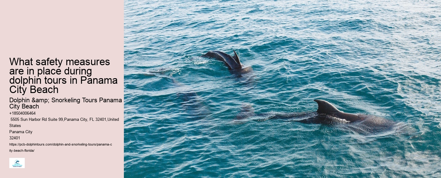 Dolphin Tours Destin