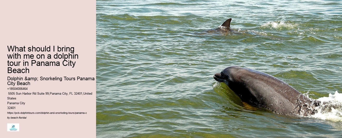 Panama City Beach dolphin excursion trips