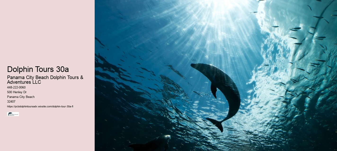 Dolphin Tours 30a