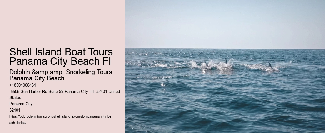 Shell Island Boat Tours Panama City Beach Fl