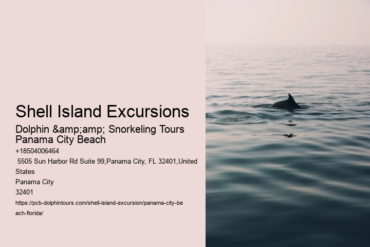 Shell Island Excursions